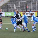 Sylviabilder till OKS  (6)